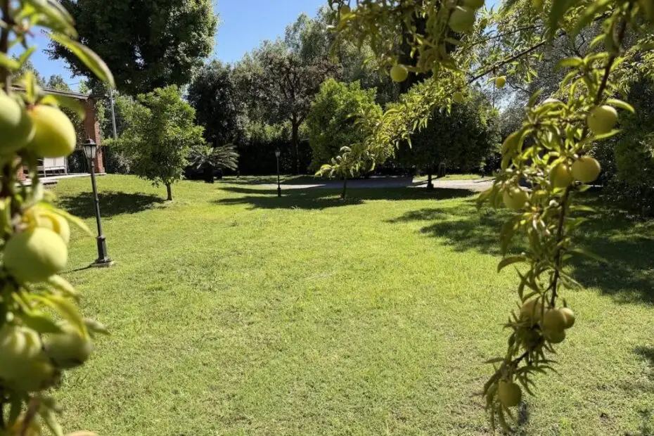 VillaOlmi13